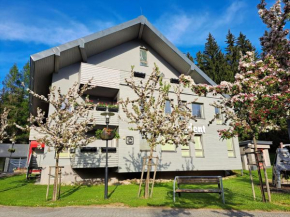 Resident Harrachov Family apartment